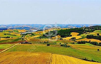 CBTAN-KOCAELİ/DERİNCE/TAHTALI GÖL MANZARALI 6972M2 SATILIK TARLA