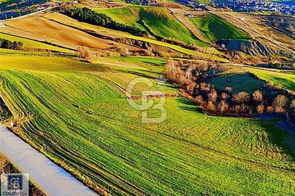 CBTAN-İZMİTİN YENİ GÖZDESİ KAYNARCA KÖYÜNDE SATILIK FIRSAT TARLA