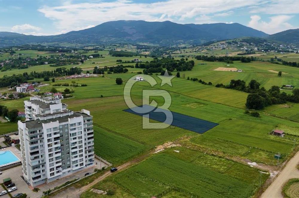 ALANLIDA DENİZ MANZARALI FIRSAT ARSA