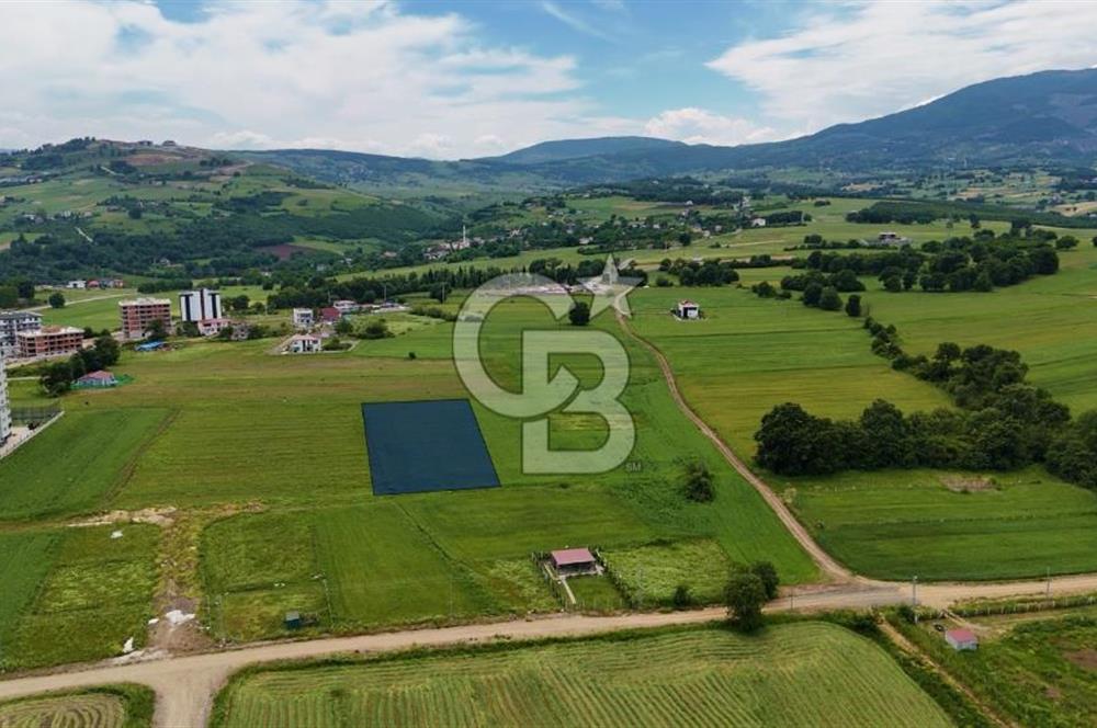 ALANLIDA DENİZ MANZARALI FIRSAT ARSA