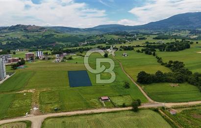 ALANLIDA DENİZ MANZARALI FIRSAT ARSA
