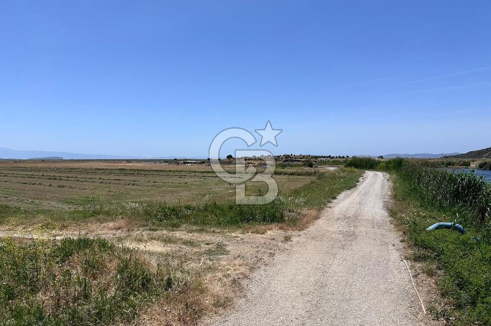 FOÇA YENİBAĞARASINDA 12.500m2 Tarla 