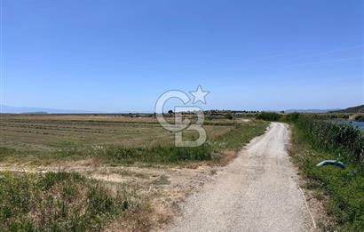 FOÇA YENİBAĞARASINDA 12.500m2 Tarla 