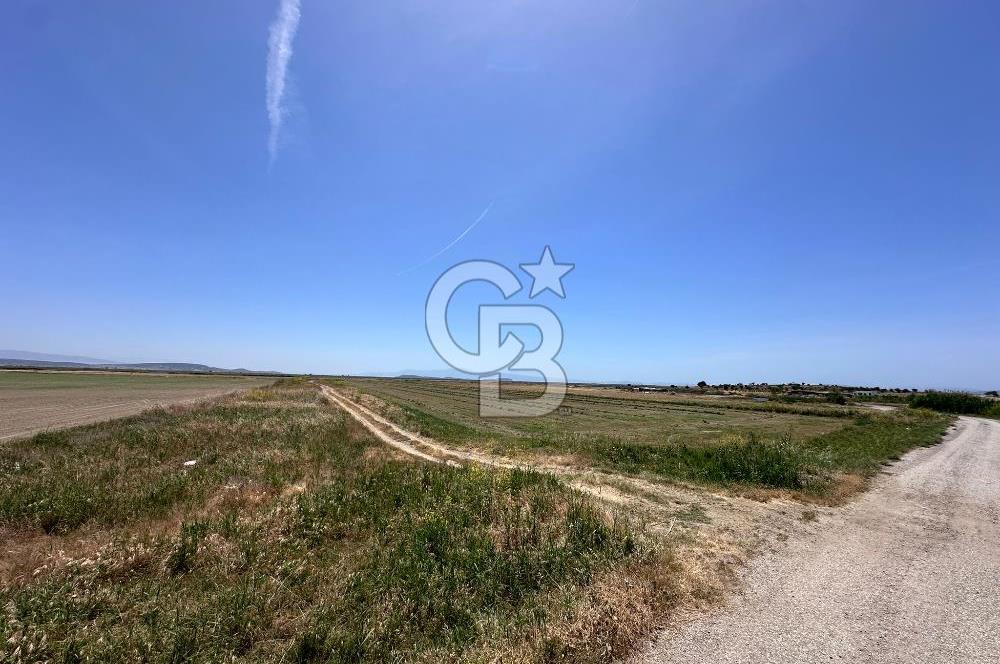 FOÇA YENİBAĞARASINDA 12.500m2 Tarla 