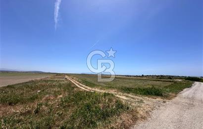 FOÇA YENİBAĞARASINDA 12.500m2 Tarla 