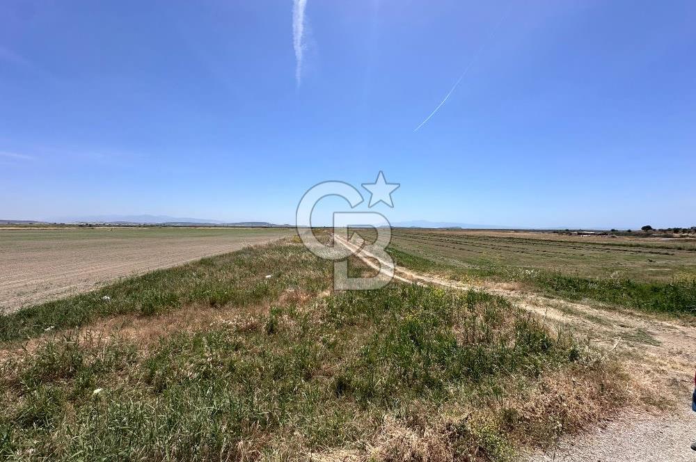 FOÇA YENİBAĞARASINDA 12.500m2 Tarla 