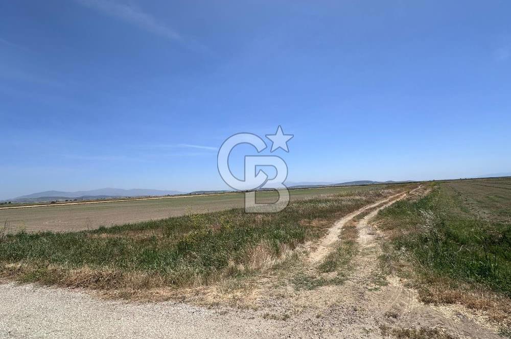 FOÇA YENİBAĞARASINDA 12.500m2 Tarla 