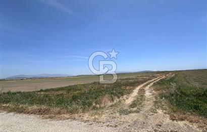FOÇA YENİBAĞARASINDA 12.500m2 Tarla 