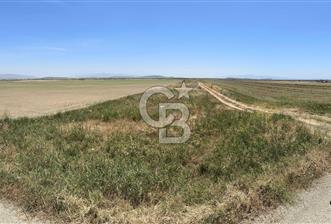 FOÇA YENİBAĞARASINDA 12.500m2 Tarla 
