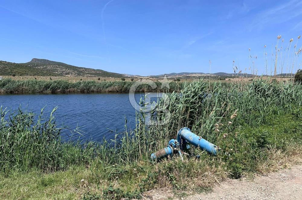FOÇA YENİBAĞARASINDA 12.500m2 Tarla 