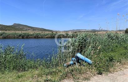 FOÇA YENİBAĞARASINDA 12.500m2 Tarla 