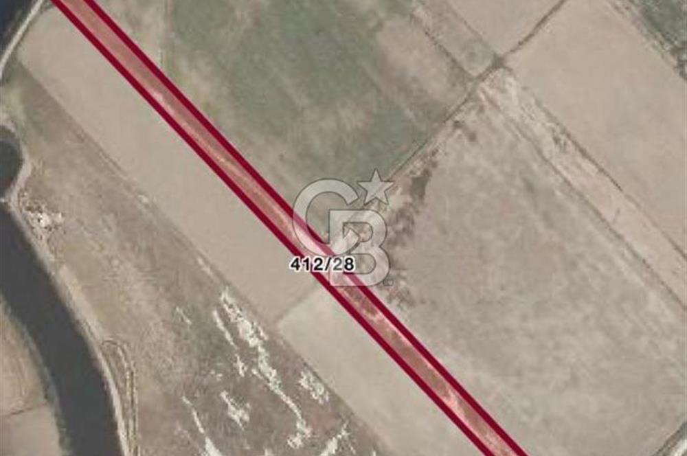 FOÇA YENİBAĞARASINDA 12.500m2 Tarla 