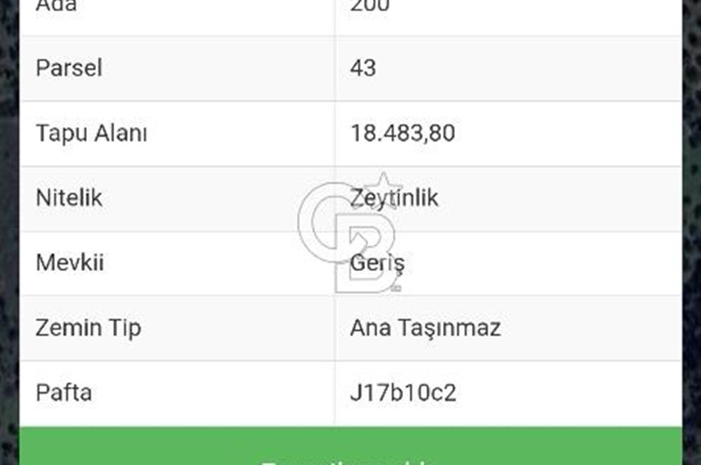 Yatırımlık Zeytinlik 18 Dönüm Balıkesir Burhaniye