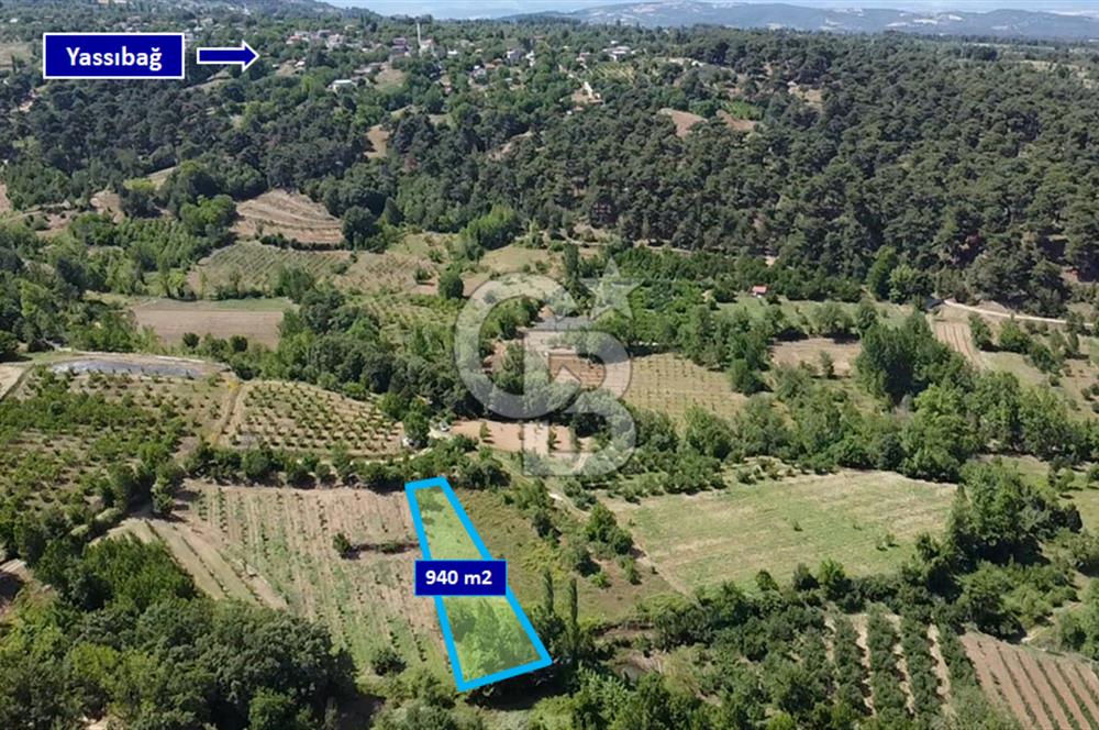ÇANAKKALE BAYRAMİÇ YASSIBAĞ KÖYÜ'NDE YATIRIMLIK BAHÇE