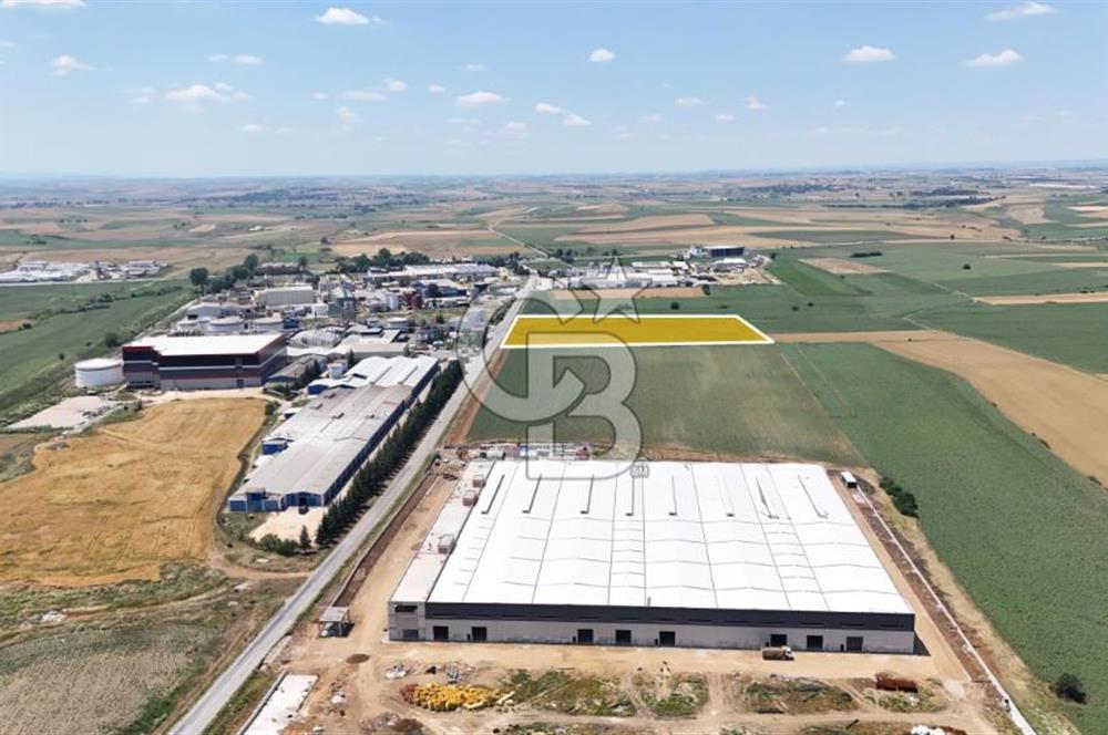 Lüleburgaz Evrensekiz'de 24.750 m² Sanayi İmarlı, Anayol Cepheli