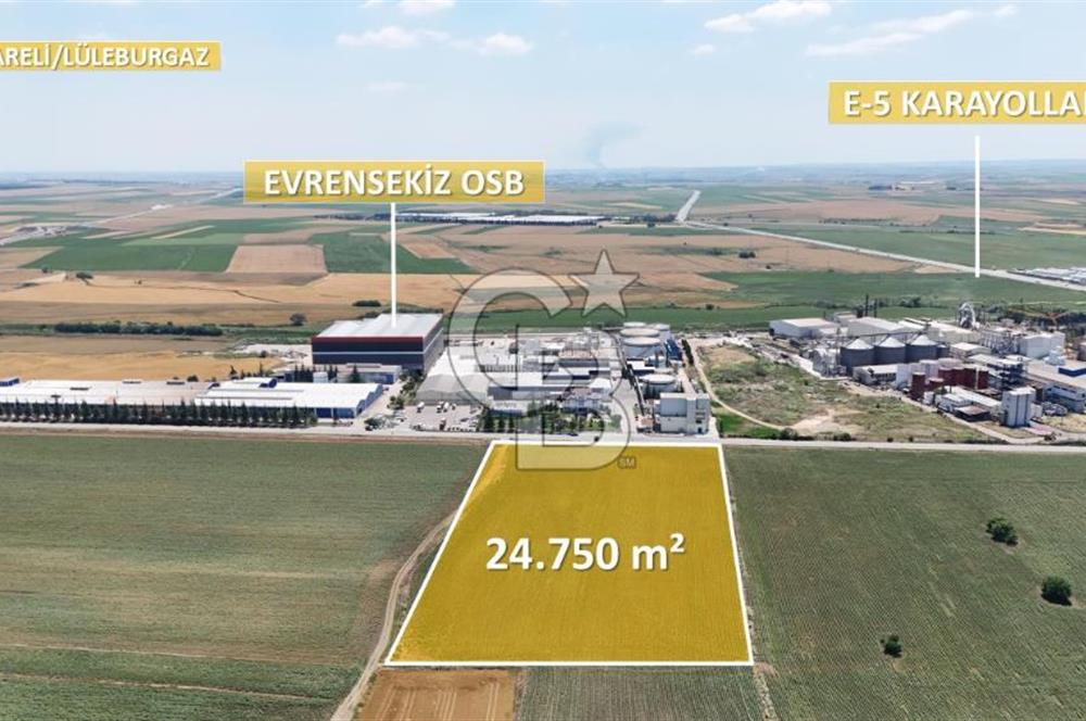 Lüleburgaz Evrensekiz'de 24.750 m² Sanayi İmarlı, Anayol Cepheli