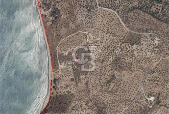 Çanakkale Ayvacık'ta Denize 100 metre Satılık - Müstakil Parsel
