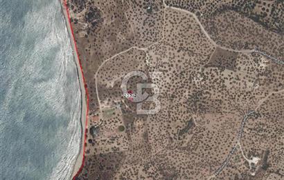 Çanakkale Ayvacık'ta Denize 100 metre Satılık - Müstakil Parsel