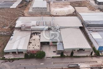 CB ACAR'dan 1.OSB'de 18.000M² KAPALI ALANLI DEPO(MAKİNALI)