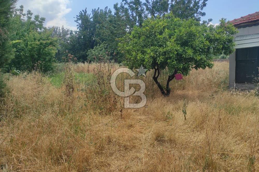 İZMİR MENEMEN EMİRALEM 674 M2 NUMARATAJLI EVİ OLAN MÜSTAKİL BAHÇE