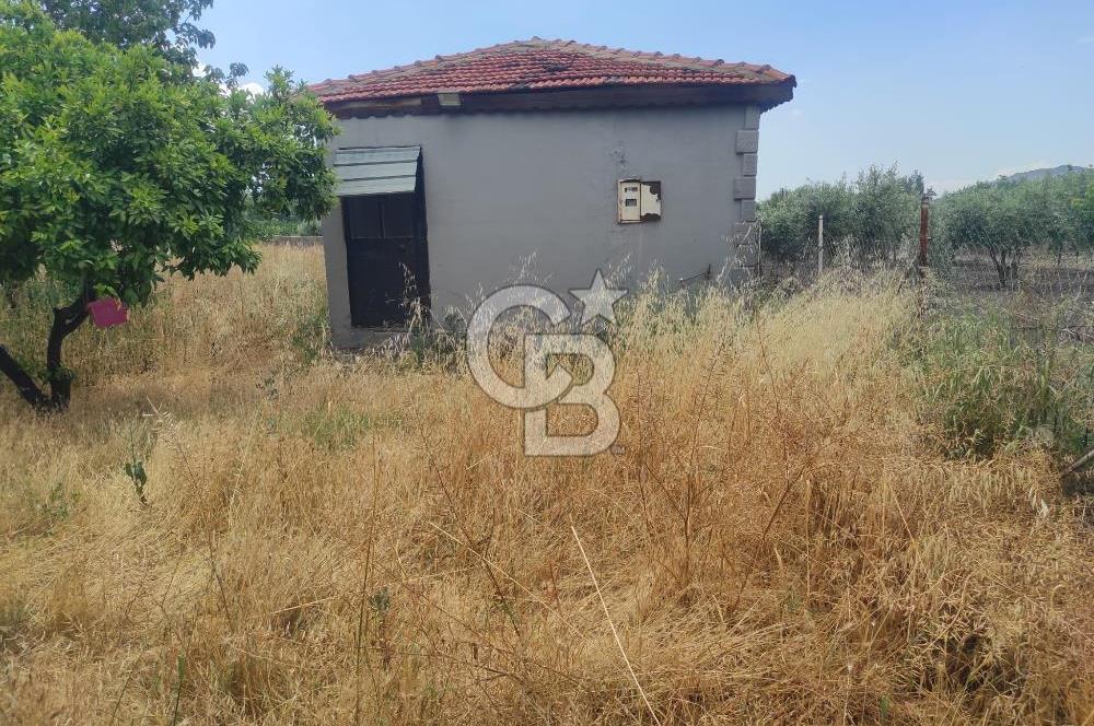 İZMİR MENEMEN EMİRALEM 674 M2 NUMARATAJLI EVİ OLAN MÜSTAKİL BAHÇE