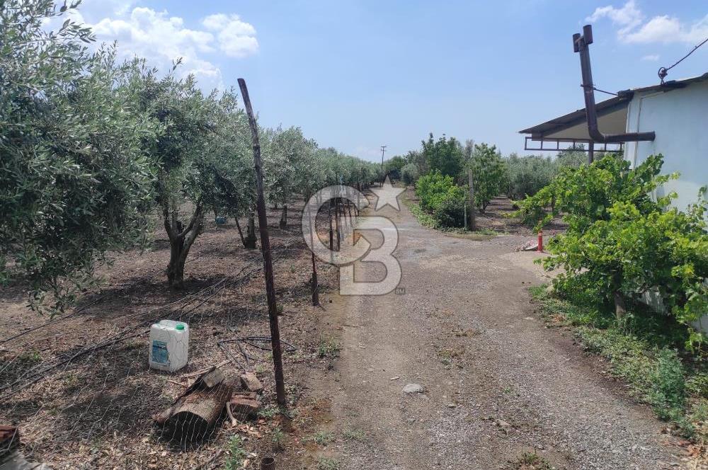 İZMİR MENEMEN EMİRALEM 674 M2 NUMARATAJLI EVİ OLAN MÜSTAKİL BAHÇE