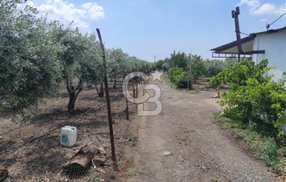 İZMİR MENEMEN EMİRALEM 674 M2 NUMARATAJLI EVİ OLAN MÜSTAKİL BAHÇE