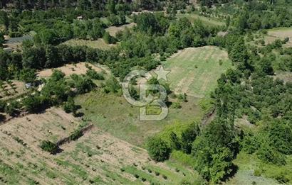 ÇANAKKALE BAYRAMİÇ YASSIBAĞ KÖYÜ'NDE YATIRIMLIK BAHÇE