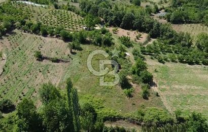 ÇANAKKALE BAYRAMİÇ YASSIBAĞ KÖYÜ'NDE YATIRIMLIK BAHÇE