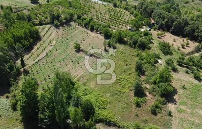 ÇANAKKALE BAYRAMİÇ YASSIBAĞ KÖYÜ'NDE YATIRIMLIK BAHÇE
