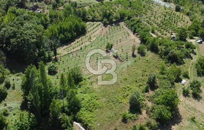 ÇANAKKALE BAYRAMİÇ YASSIBAĞ KÖYÜ'NDE YATIRIMLIK BAHÇE