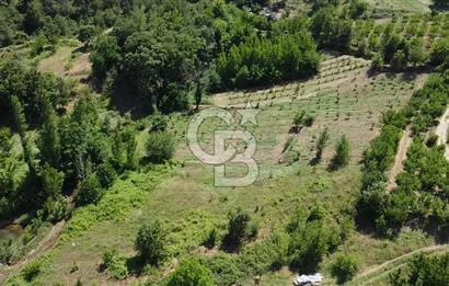 ÇANAKKALE BAYRAMİÇ YASSIBAĞ KÖYÜ'NDE YATIRIMLIK BAHÇE