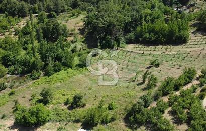 ÇANAKKALE BAYRAMİÇ YASSIBAĞ KÖYÜ'NDE YATIRIMLIK BAHÇE
