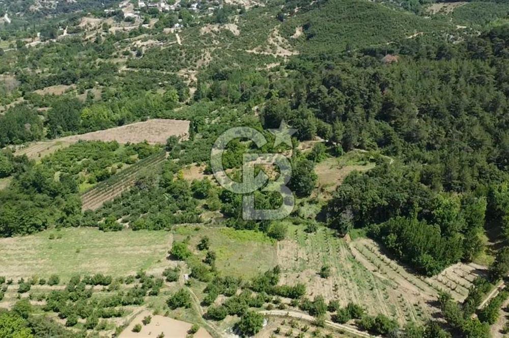 ÇANAKKALE BAYRAMİÇ YASSIBAĞ KÖYÜ'NDE YATIRIMLIK BAHÇE
