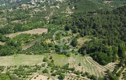 ÇANAKKALE BAYRAMİÇ YASSIBAĞ KÖYÜ'NDE YATIRIMLIK BAHÇE