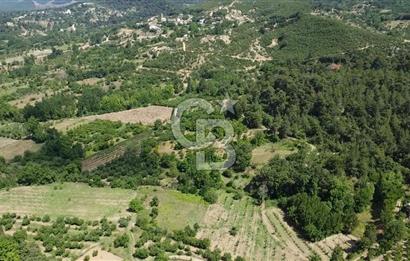 ÇANAKKALE BAYRAMİÇ YASSIBAĞ KÖYÜ'NDE YATIRIMLIK BAHÇE