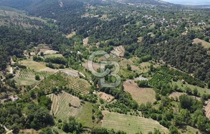 ÇANAKKALE BAYRAMİÇ YASSIBAĞ KÖYÜ'NDE YATIRIMLIK BAHÇE