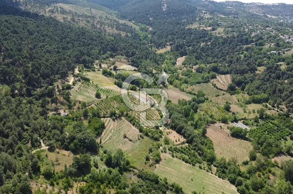 ÇANAKKALE BAYRAMİÇ YASSIBAĞ KÖYÜ'NDE YATIRIMLIK BAHÇE