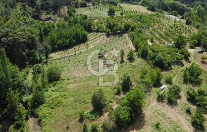 ÇANAKKALE BAYRAMİÇ YASSIBAĞ KÖYÜ'NDE YATIRIMLIK BAHÇE