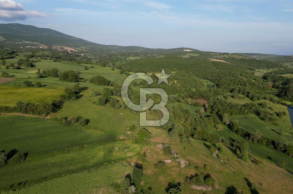 HAVZA KARAMEŞE'DE SATILIK TARLA 