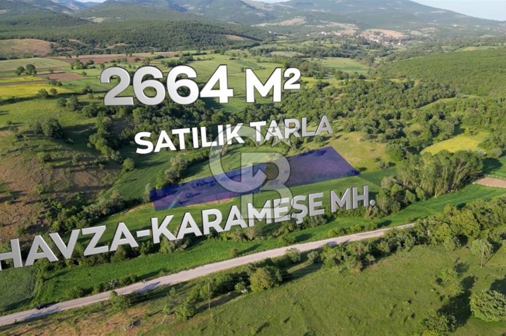 HAVZA KARAMEŞE'DE SATILIK TARLA 