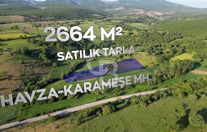 HAVZA KARAMEŞE'DE SATILIK TARLA 