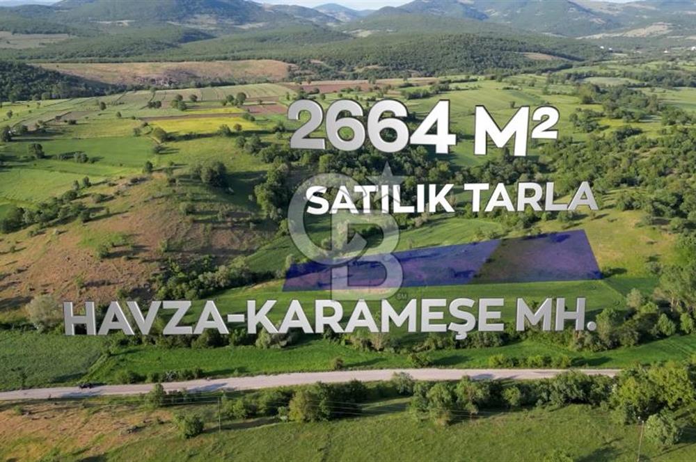 HAVZA KARAMEŞE'DE SATILIK TARLA 