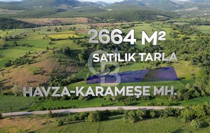 HAVZA KARAMEŞE'DE SATILIK TARLA 