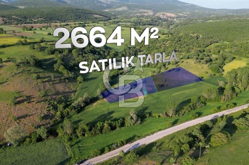 HAVZA KARAMEŞE'DE SATILIK TARLA 