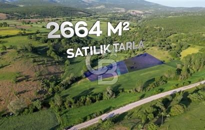 HAVZA KARAMEŞE'DE SATILIK TARLA 