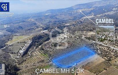 Kemalpaşa'da satılık tarla