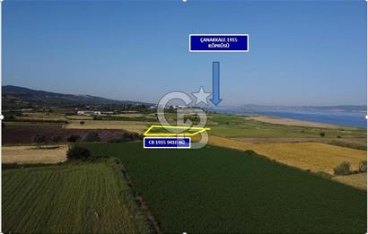 ÇANAKKALE LAPSEKİ ÇARDAK 9410 M2 SATILIK ARAZİ DENİZE 140 M.