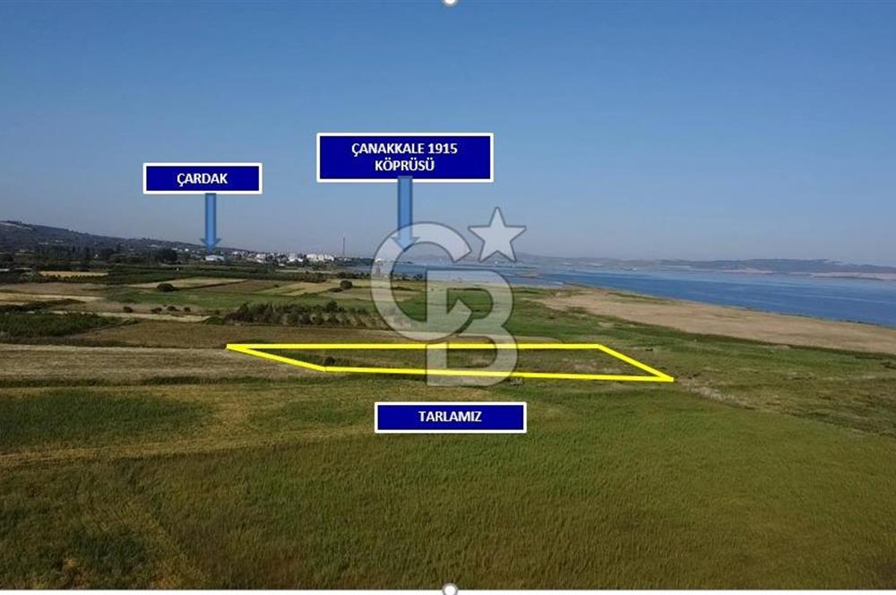 ÇANAKKALE LAPSEKİ ÇARDAK 9410 M2 SATILIK ARAZİ DENİZE 140 M.