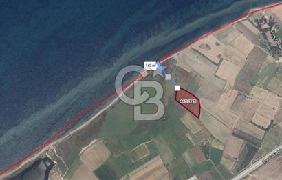 ÇANAKKALE LAPSEKİ ÇARDAK 9410 M2 SATILIK ARAZİ DENİZE 140 M.